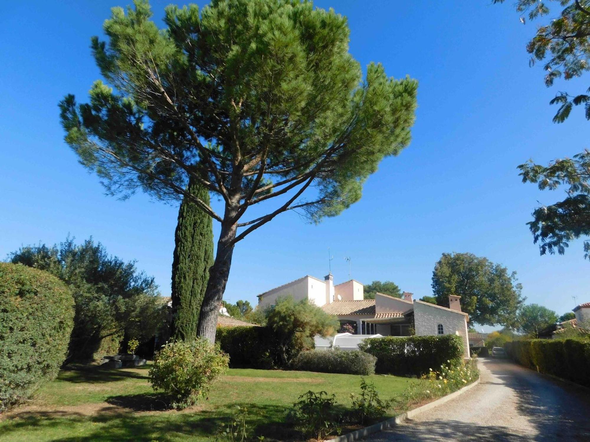Les Bougainvillees De Camargue Villetelle ภายนอก รูปภาพ