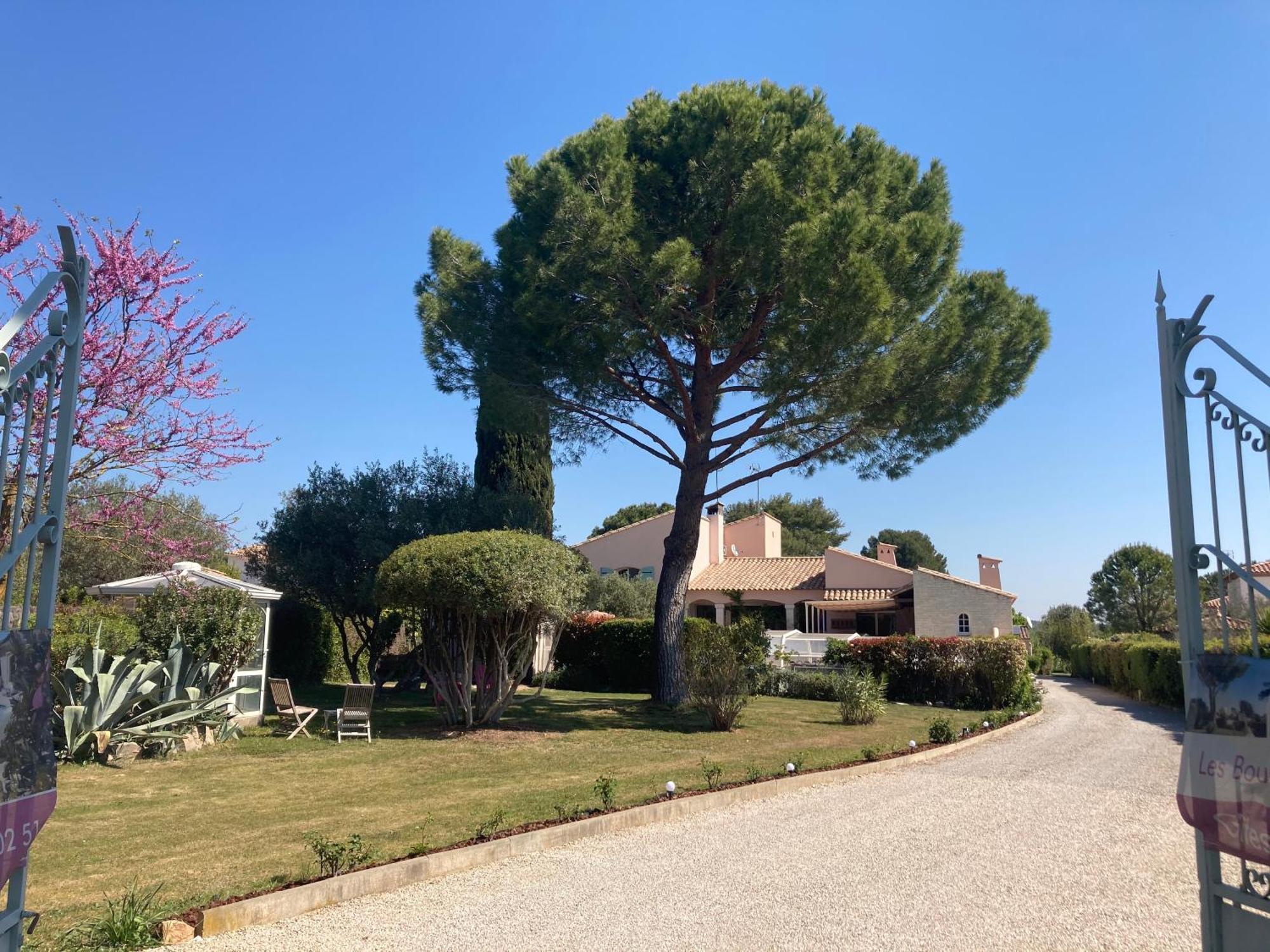 Les Bougainvillees De Camargue Villetelle ภายนอก รูปภาพ