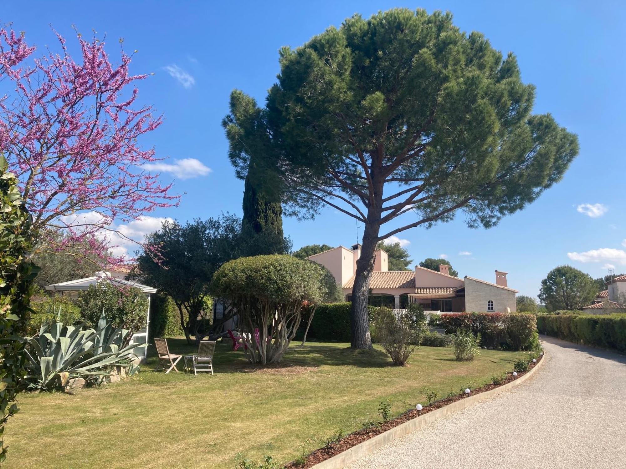 Les Bougainvillees De Camargue Villetelle ภายนอก รูปภาพ